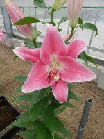 [5532 PO35 LUN 591 No02.JPG]